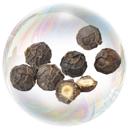 Black pepper